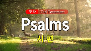 19 Psalms 시편 영어성경 NIV 통독 낭송  영어 자막  전문 성우가 읽어주는 오디오 성경 [upl. by Reinhart]