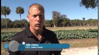 Collier County Public Schools Oakes Farms Tour [upl. by Annuhsal945]