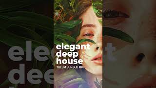 Tulum Deep House Mix 2024  SUBSCRIBE deephouse tulum chillhouse [upl. by Anawd]