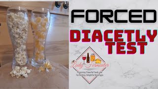 Forced Diacetyl Test when brewing beer [upl. by Raoul]