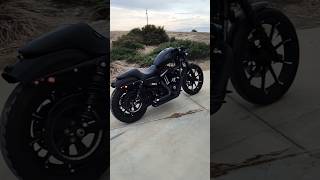 Sportster Iron 883 Customized HarleyDavidson [upl. by Aremus660]