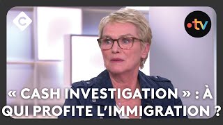 « Cash Investigation »  à qui profite l’immigration   C à vous [upl. by Euqcaj871]