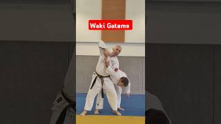 Waki Gatame version Nihon Tai Jitsu NihonTaiJitsu SelfDefense artsmartiaux [upl. by Cindi960]