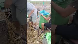 Making process of hay bales [upl. by Lody365]