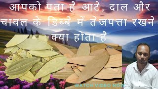 आपको पता है आटे दाल और चावल के डिब्बे में तेजपत्ता रखने से क्या होता है [upl. by Svirad]