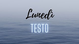 Lunedì  testo  Lyrics  Salmo [upl. by Assyn]