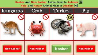 Kosher And Non Kosher Animal Meat In Judaism ✡️ Halal and Haram Animal Meat In Judaism ✡️ [upl. by Atteval]