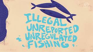 IN NUMBERS Illegal unreported and unregulated fishing in the Philippines [upl. by Hilar]