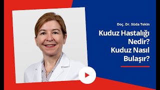 Kuduz Hastalığı Nedir  Kuduz Nasıl Bulaşır  Dünya Kuduz Günü [upl. by Lorita890]