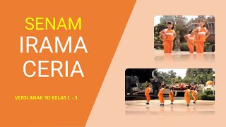 Senam Irama Ceria Versi Anak SD kelas 1  3 [upl. by Hetty793]