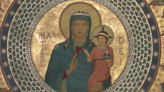 Salve Mater Misericordiae [upl. by Eniretak486]