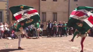 Contrada dellOca sbandierata prima di piazza del campo [upl. by Abraham339]