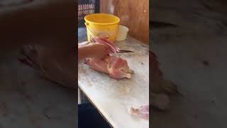 Hands Push Wings of Chicken shortsfeed butcher skills shorts meat [upl. by Odlanier]