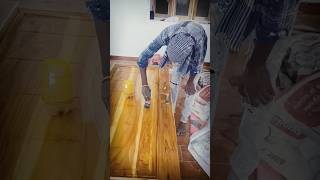 Apply sealer  door  polish  wood polish  painter panting woodworking woodworkingart sealer [upl. by Hsiekal]