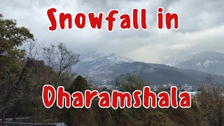 Seasons First Snowfall in Dharamshala Mcleodganj Himachal watch the beautiful glimpses [upl. by Pedaiah]