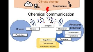 What is Chemical Ecology  Microlearning 3 Minutes [upl. by Jolee320]