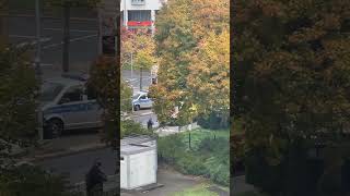 Prügellei in Chemnitz City 1630uhr toller großer Polizei Einsatz und ein Paparazzi 😂 chemnitz [upl. by Ynahpit]