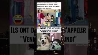 La Normandie😭meme drole viralvideo [upl. by Wattenberg]