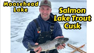 2023 Moosehead Lake Ice Fishing  Landlocked Salmon  Lake Trout  Cusk [upl. by Corwin]