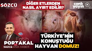 Fatih Portakal ile Sözcü Ana Haber 10 Ekim [upl. by Miltie474]