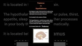 Thalamus vs Hypothalamus  Psychology Lectures  Clinical Psychology Iqra Saeed [upl. by Alioz]