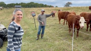 Our FULL Homestead Morning Chore Routine [upl. by Karel]