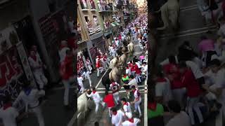 Running of the bulls in Pamplona’s san Fermín festival [upl. by Codee548]