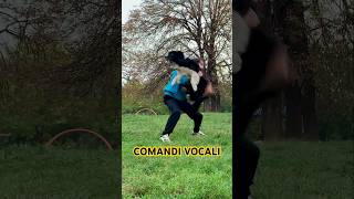 SENZA PREMI SENZA GESTI addestramentocani dogtrainer bordercollie cane dogtricks [upl. by Sorcha]