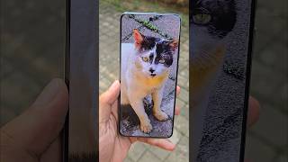 Vivo X200 Pro Camera Test 🔥 [upl. by Valleau]