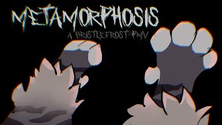 Metamorphosis  A Bristlefrost PMV [upl. by Airret85]