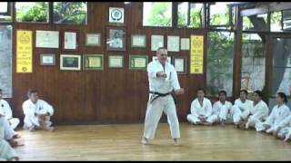 Sensei Rodrigo Sepúlveda Tolhuysen  GOJURYUCL Kata Suparinpei [upl. by Nnylyak]