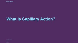 What is Capillary Action [upl. by Egidio250]