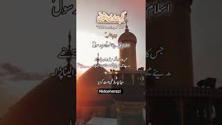 Ayame Shadt Bibi Fatima Zehra s a 😭shorts shortvideo subscribe unfreezemyacount foryou [upl. by Sylera965]