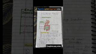 Digestive system anatomy and physiology hindi notes shorts digestivesystem notes anatomy [upl. by Kotick685]