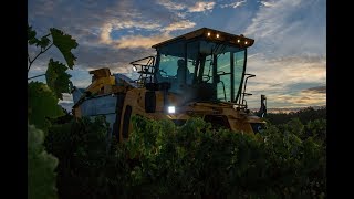 Vendanges 2018 à la SARL Artaël  Grégoire 152 [upl. by Gratiana509]