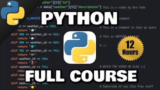 Python Full Course for free 🐍 2024 [upl. by Las84]