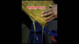 इस शहद☠️ को भूल कर भी मत खाना  Never Eat Mad Honey 🍯 llFactsMine trending factsshortsshort [upl. by Acysej]