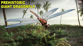 Meganeura  The Prehistoric Dragonfly With A TwoFoot Wingspan [upl. by Ty]