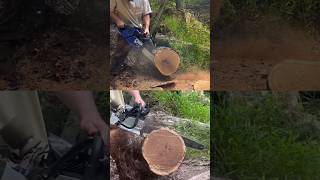 STIHL 500i Ported vs holzfforma g888 ported farmertec holzfforma [upl. by Htrag670]