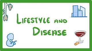 GCSE Biology  Is Your Lifestyle Really a Personal Choice  Lifestyle amp Risk Factors 42 [upl. by Main]