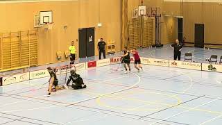 Highlights Träningsmatch ÅstorpKvidinge IBS Herrar  Halmstad IBK 66 [upl. by Nwahsek12]