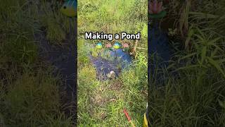 Making a Pond 🐠🪷 ponds pond fishpond fishponds fishpondgarden [upl. by Abdulla]