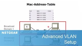 Advanced VLAN Setup  Business [upl. by Pasia30]