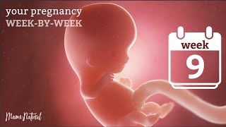 9 Weeks Pregnant  Natural Pregnancy WeekByWeek [upl. by Calida]