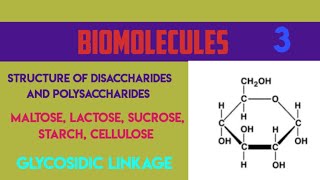 STRUCTURE OF DISACCHARIDES AND POLYSACCHARIDES MALTOSE LACTOSE SUCROSESTARCH CELLULOSE [upl. by Deehan]