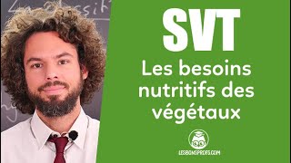 Les besoins nutritifs des végétaux  SVT  6e  Les Bons Profs [upl. by Veradi]