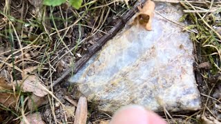 Really He Has Just Been Sitting There the Whole Time rockhounding crystals rocks quartz [upl. by Mcculloch]