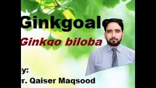 Ginkgo bilobaIntroduction Characteristics Affinities Uses [upl. by Moyers608]