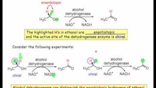 How Chiral Objects Distinguish Enantiotopic Groups [upl. by Paule]