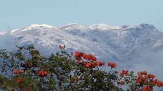 Alpes Palhocenses Para quem nunca viu neve em Palhoça [upl. by Norean]